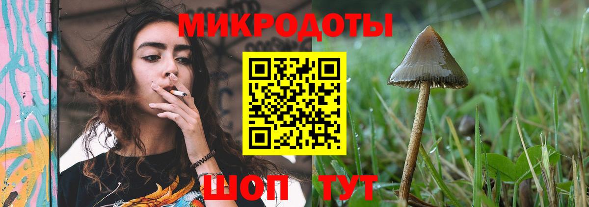 Галлюциногенные грибы GOLDEN TEACHER  Галлюциногенные грибы Psilocybine cubensis  продажа наркотиков  Звенигород  Вход с VPN 